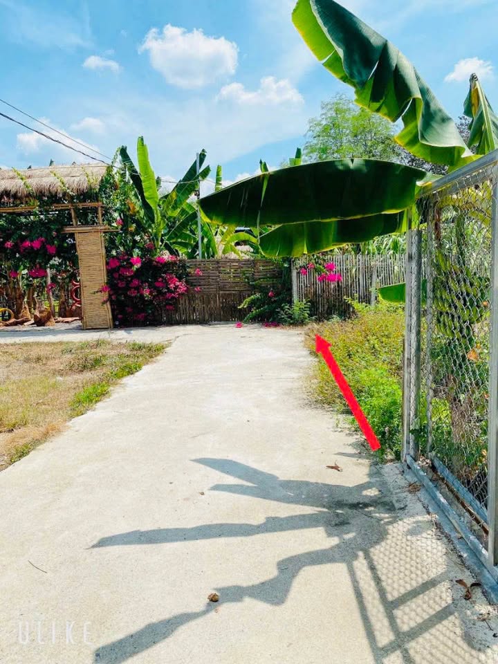 Đất nền Diên Lạc 260m² - Sổ đỏ sẵn sàng, ô tô tránh nhau