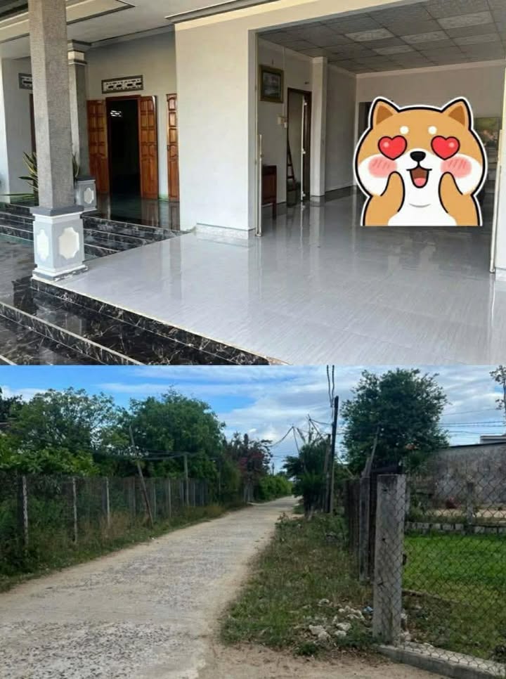 Đất nền Vạn Phú, Vạn Ninh 2500m² - Đường ô tô tận nơi!