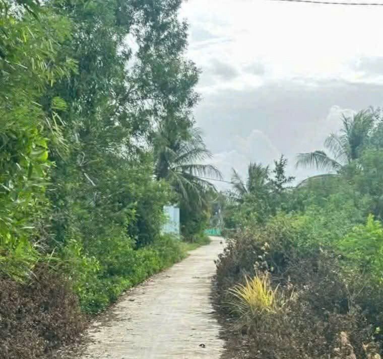 Đất nền Vạn Ninh Khánh Hòa 1262m² - Tiềm năng tăng giá vượt trội!