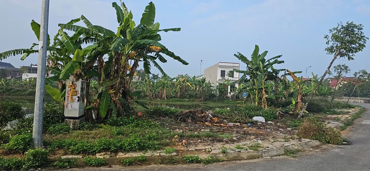 Đất Đông Xuân, Đông Sơn 150m² - Tiềm năng tăng giá vượt trội!