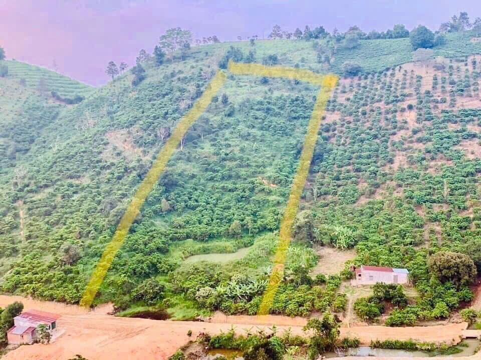 Đất nền Thôn 10 Lộc Nam 1,24ha 6,89 tỷ - Sổ đỏ chính chủ