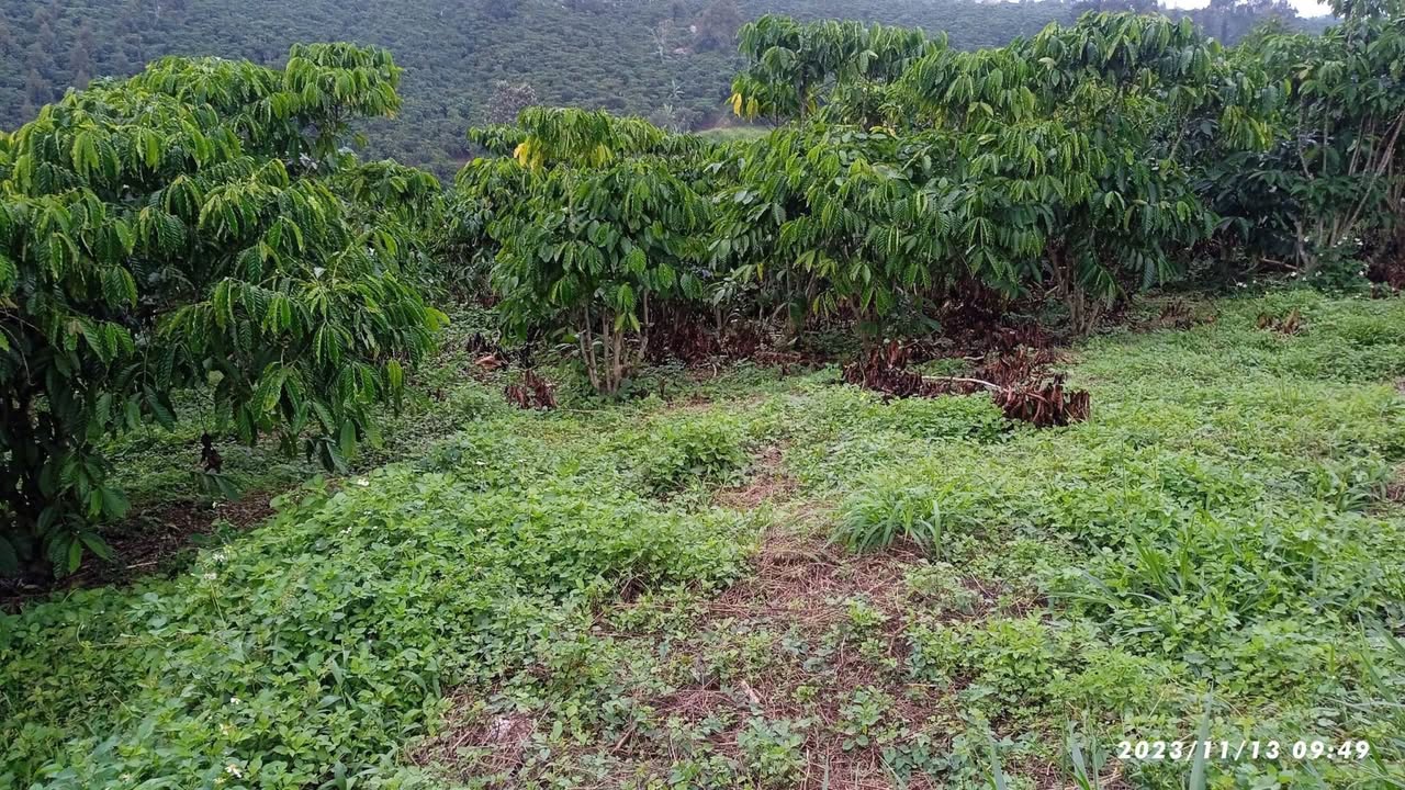 Đất nền mặt tiền Đoàn Thị Điểm Bảo Lộc 505m² - Sổ đỏ chính chủ!