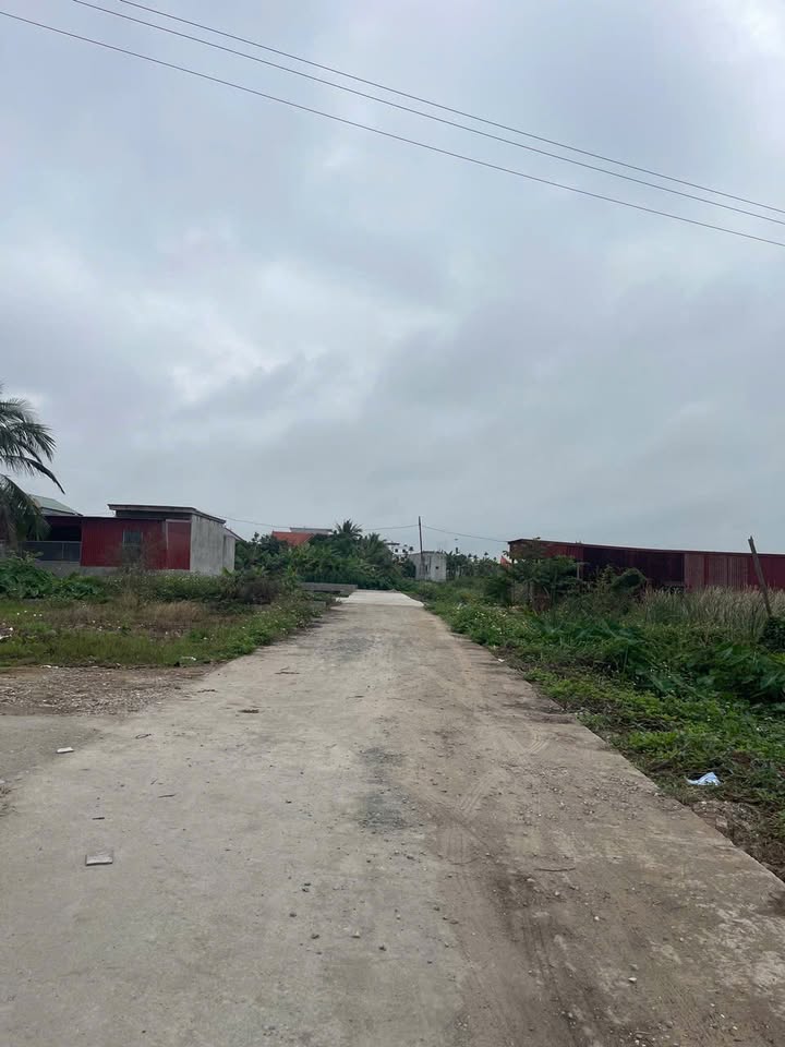 Đất nền Quý Kim Đồ Sơn 98m² - Sổ đỏ chính chủ, tiềm năng sinh lời!