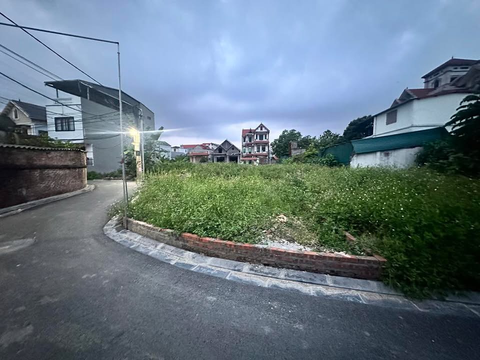 Bán đất phân lô 78m² tại Bắc Hồng, Đông Anh - Ô tô vào tận đất, giá 3.9 tỷ