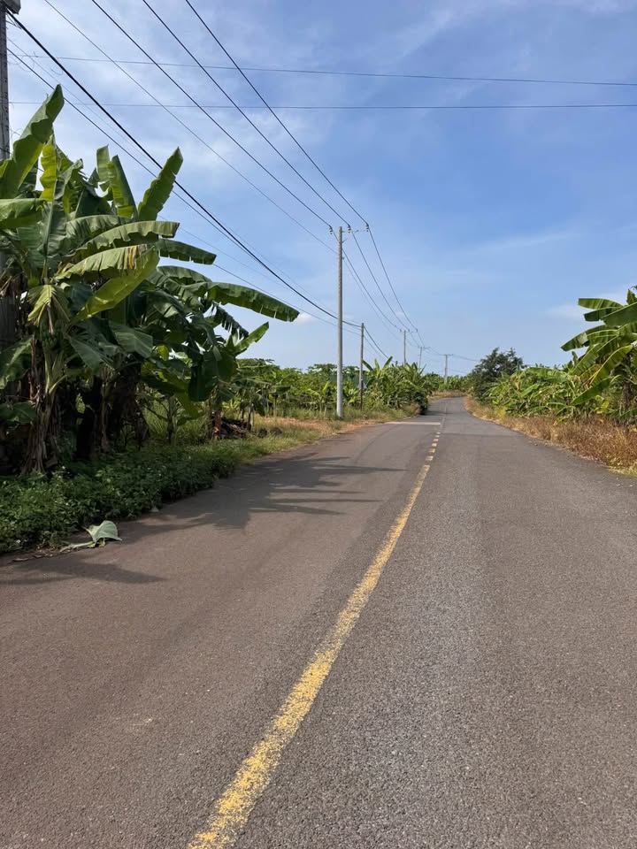 Bán đất Gia Kiệm Thống Nhất 1000m² giá 1.3 tỷ - Sổ hồng sẵn