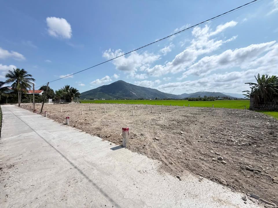 Đất Nền 125m² Sổ Đỏ Phường Hoà Thắng, Nha Trang - Hơn 4 Tỷ, Sẵn Sàng Giao Dịch