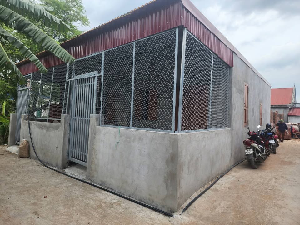 Nhà Cấp 4 60m² Hoa Động, Thủy Nguyên - Giá Tốt Cho Gia Đình Trẻ