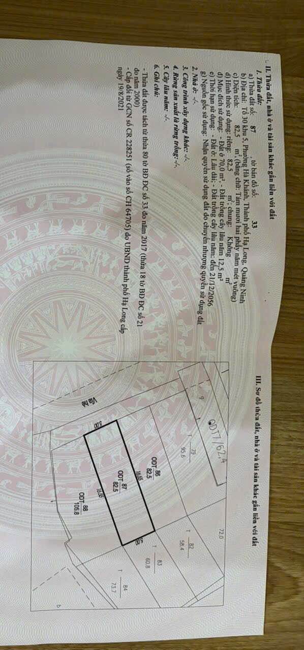 Bán Đất Nền Cây Hà, Hạ Long 82.5m² - Sổ Hồng Sẵn Sàng