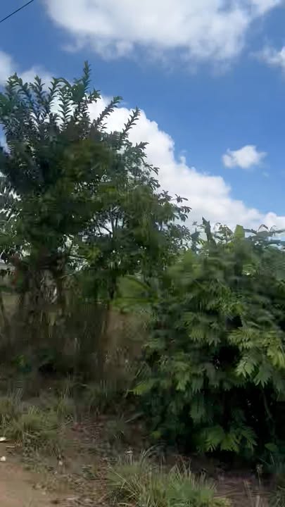 Đất Vàng Xã Ea Wy, Đắk Lắk - 648m² Sổ Đỏ Rõ Ràng