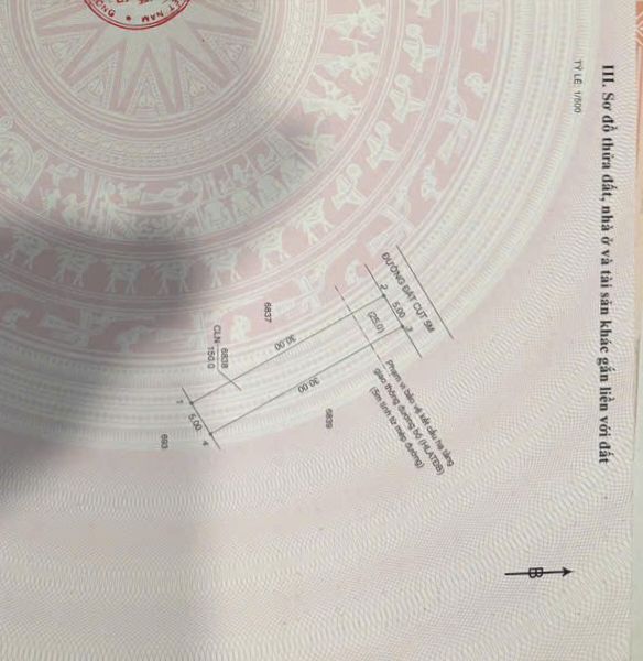 Đất Nền Trừ Văn Thố, Bàu Bàng - 150m² Giá Hơn 300 Triệu - Ngợp Chủ Bán Gấp!