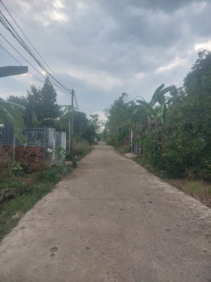 Đất nền Tiến Thành 168m² chỉ 1.05 tỷ - Đất thổ cư 100%!