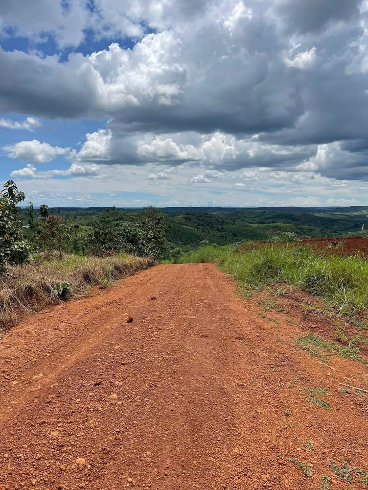 Đất nền Trường Xuân Đắk Nông 1.4ha - Giá đầu tư tốt!