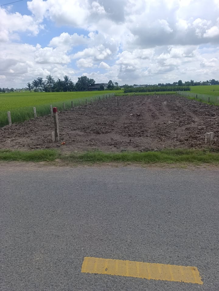 Bán Đất Mặt Tiền Lộ Đình, Tân Trụ, Tây Ninh - 225m² Giá 1.15 Tỷ