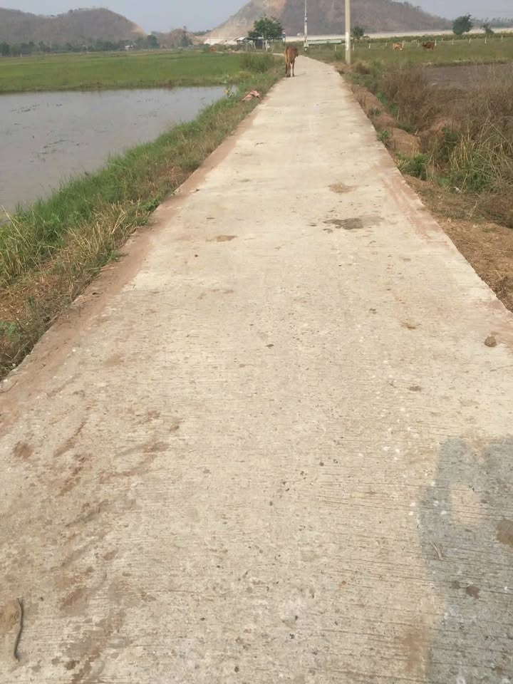 Bán Đất Vườn 10800m² Bình Thuận - Sổ Đỏ, Giá Tốt