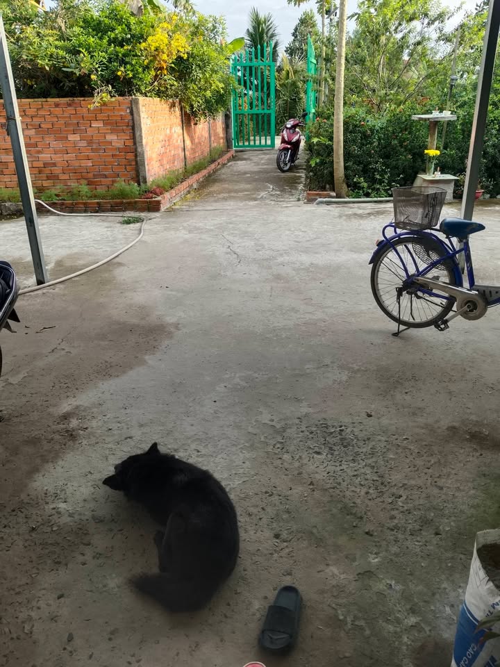 Bán nhà vườn Mỹ Hiệp Cao Lãnh 700m² giá 1.2 tỷ - Nghỉ dưỡng lý tưởng!