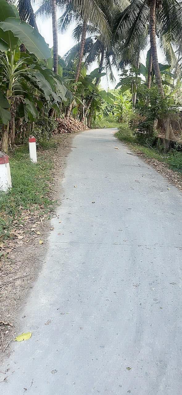 Đất nền 306m² Chợ Gạo, Tiền Giang - Tiềm năng tăng giá!