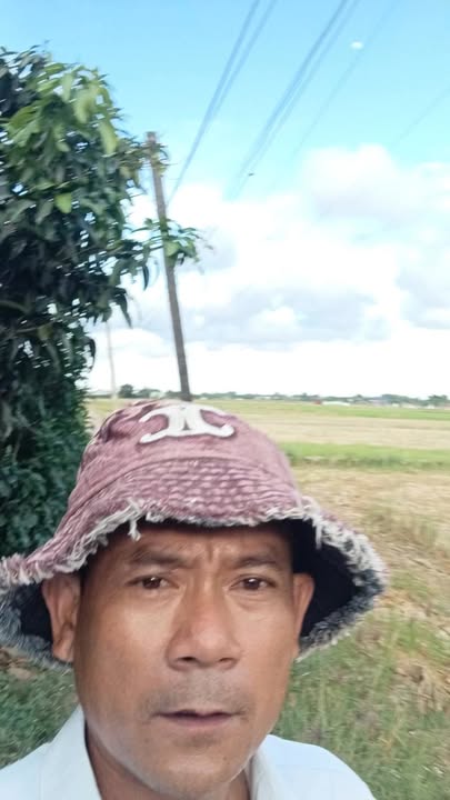 Bán đất lúa 1141m² Lô Góc Xã Phước Tuy, Cần Đước - Giá 600 Triệu