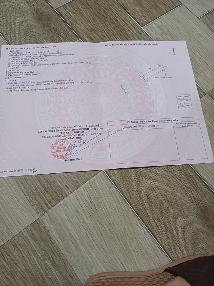 Đất nền 150m² Mặt tiền QL1A Cát Tân Phù Cát – Tiềm năng tăng giá