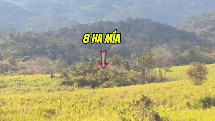 Bán gấp 15ha đất nông nghiệp Gia Lai - Có sẵn mía, bí đỏ, view suối