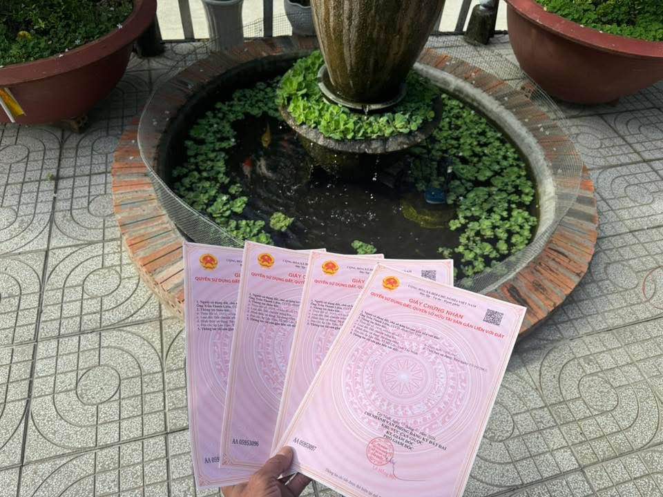 Bán Đất Lúa 1000m² Sổ Hồng Riêng, Sát Thị Trấn Cần Giuộc - Giá Tốt