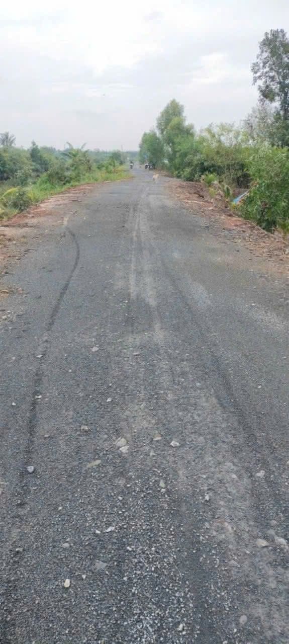 Bán 2000m² Đất View Kênh Bến Lức, Long An - Sẵn Sàng Đầu Tư