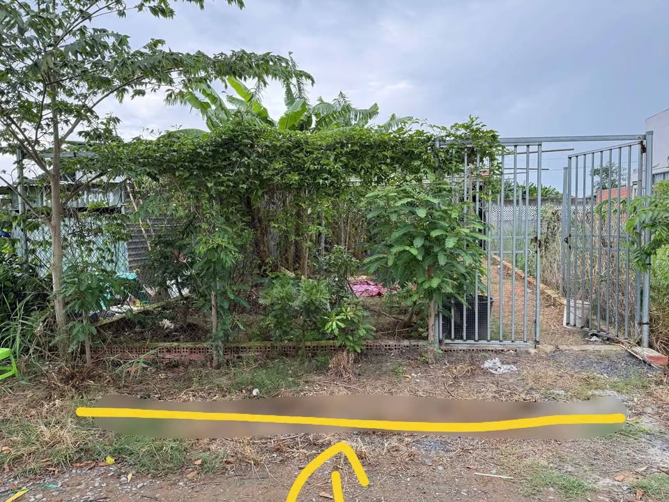 Đất nền Phước Vân Cần Đước 152m² - Sổ đỏ chính chủ, đường ô tô!