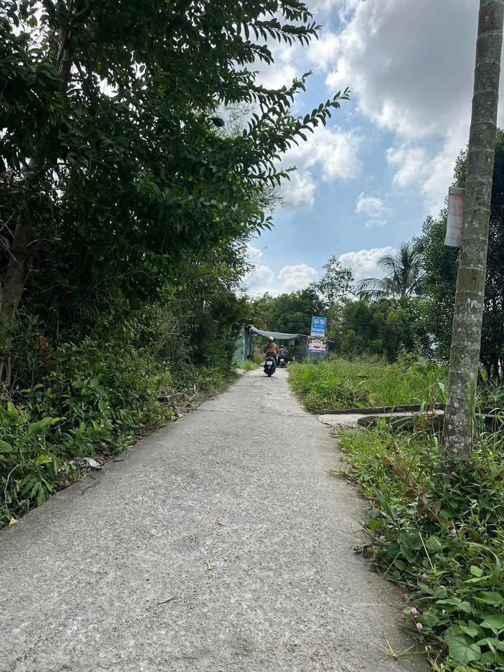 Đất Vị Thanh 900m² - Gần Trường Phạm Hồng Thái, Giá 490 Triệu