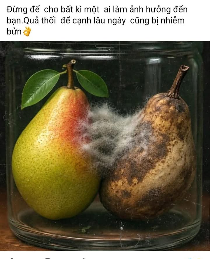 Nhà cấp 4 Long Hải 20m² - Giá 240 triệu, sổ tay bao tranh chấp!