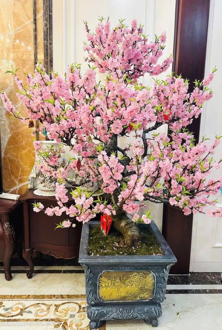 Đất nền Quế Võ, Bắc Ninh từ 2 tỷ - Sổ đỏ chính chủ, tiềm năng sinh lời!