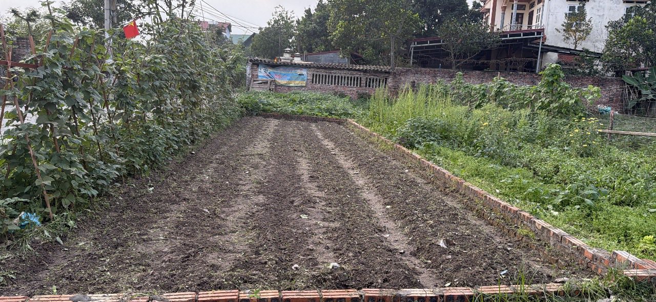 Bán đất nền 51m² đường QL Ninh Xá, Thuận Thành, Bắc Ninh - Giá 2 tỷ