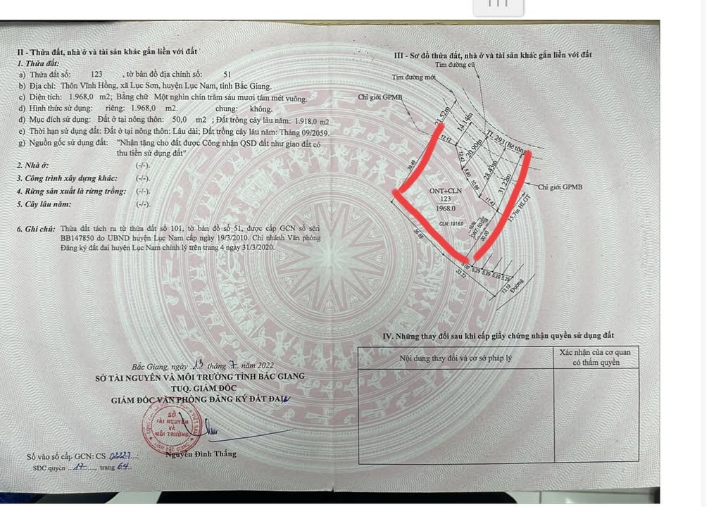 Đất nền Tỉnh lộ 293 Lục Nam 2588m² - Tiềm năng tăng giá vượt trội!