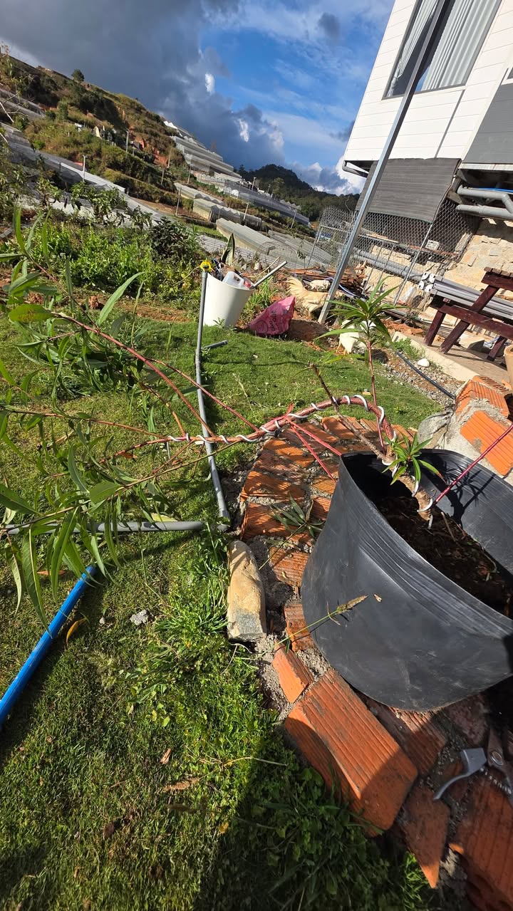 Nhà Huyện Hàm Thuận Bắc 250m² giá 1.55 tỷ - Giá tốt, ô tô vào tận nhà!