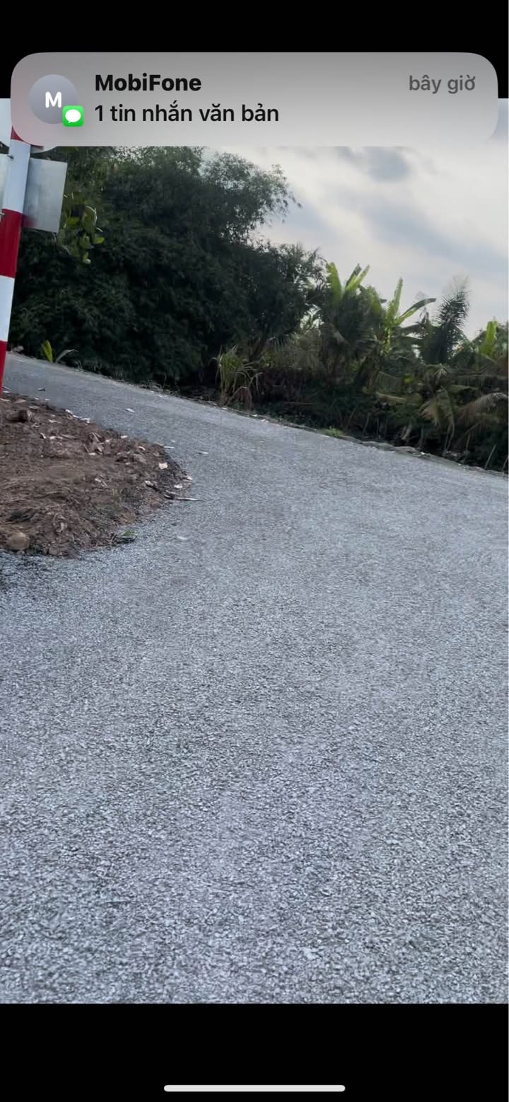 Đất lúa Huyện Cao Lãnh 5080m² - Sổ đỏ chính chủ, tiềm năng tăng giá!