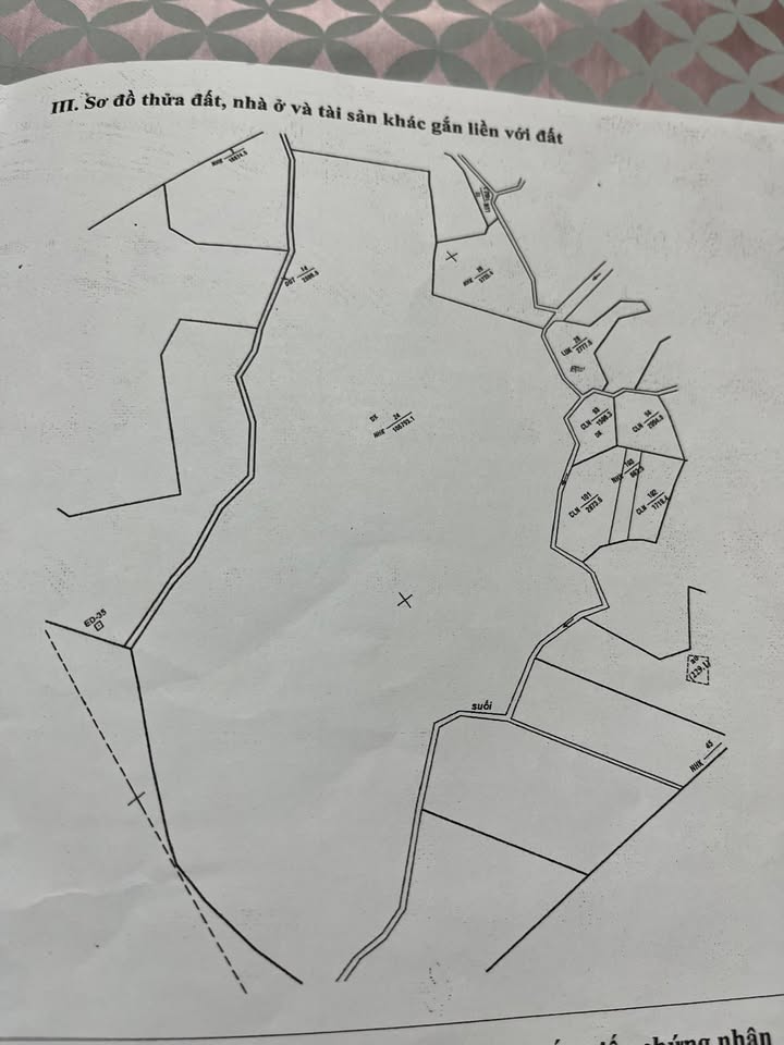 Đất Vườn 13.6ha Đắk Lắk - Sổ Đỏ Sẵn, Cau 4 Năm Tuổi