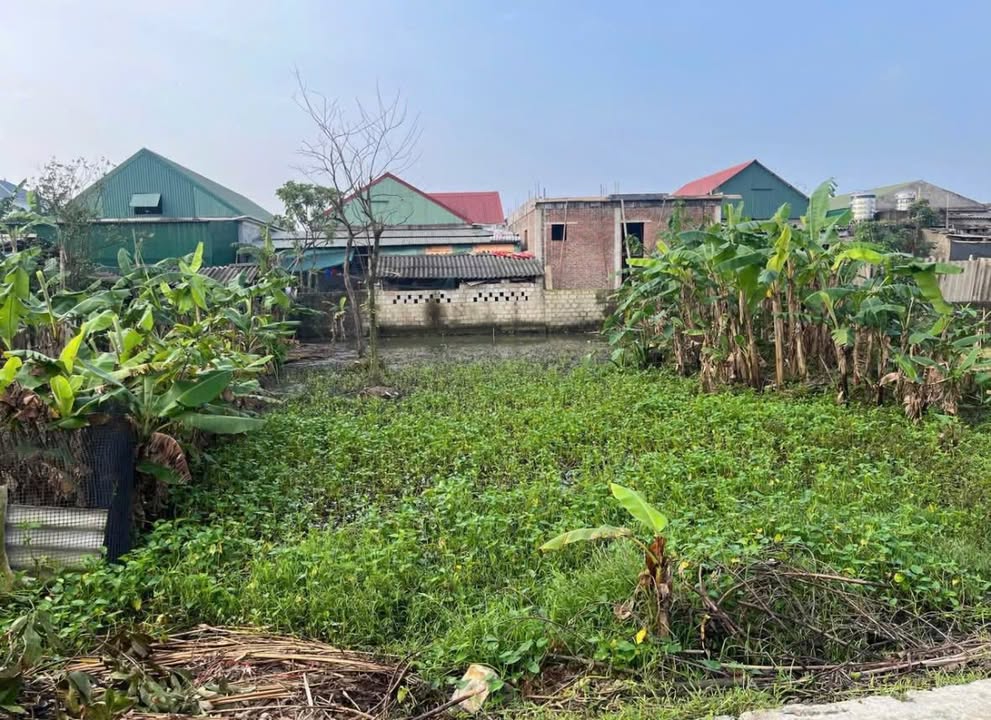 Đất nền Nguyễn Xí Hà Tĩnh 160m² – Tiềm năng tăng giá vượt trội!