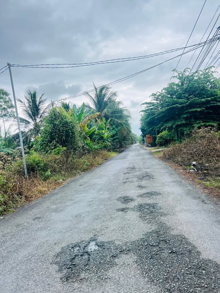 Đất Vườn Long Định, Châu Thành 470m² - Sổ Hồng Rõ Ràng, Công Chứng Ngay!