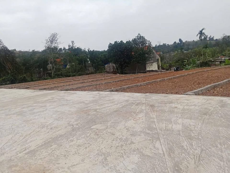 Đất nền Lưu Kiếm, Thủy Nguyên 61m² chỉ 4xx triệu - Sổ đỏ chính chủ!