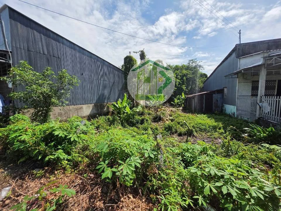 Đất Nền Ngô Quyền 300m² Giá 900 Triệu - Sổ Đỏ Rõ Ràng