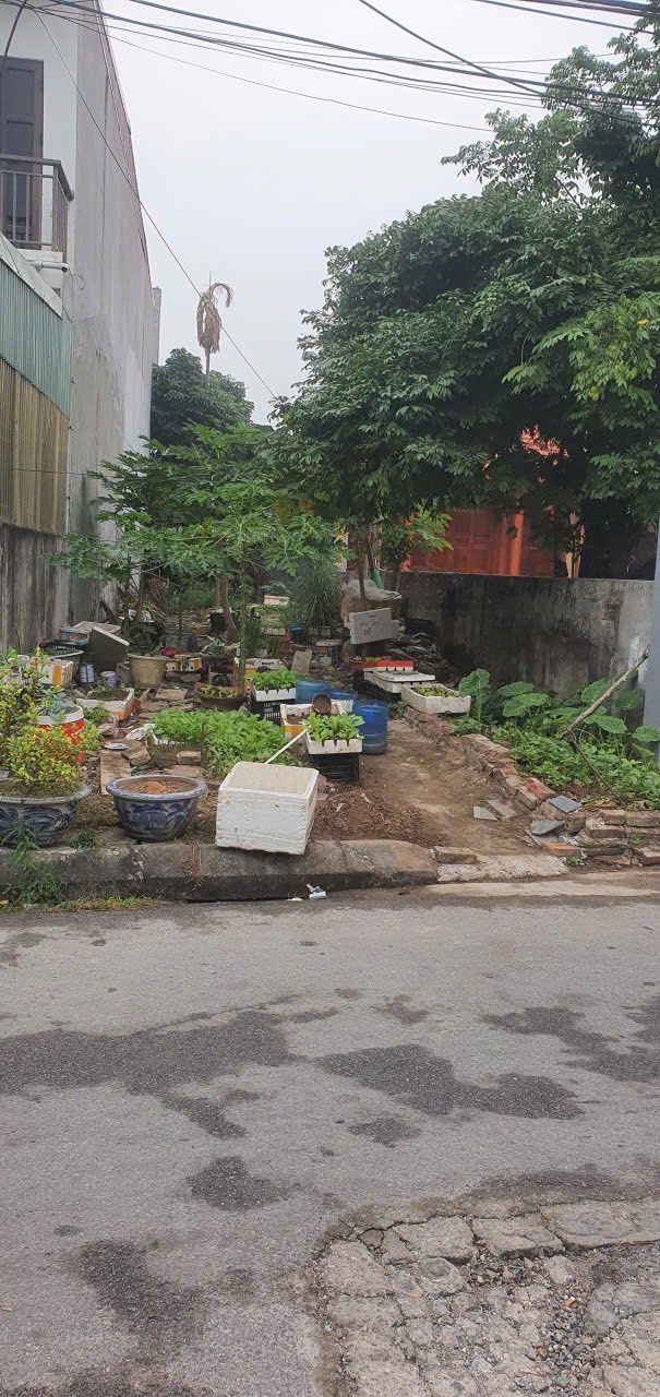 Đất nền Nam Hải Hải An 115m² giá 4 tỷ - Tiềm năng tăng giá cao