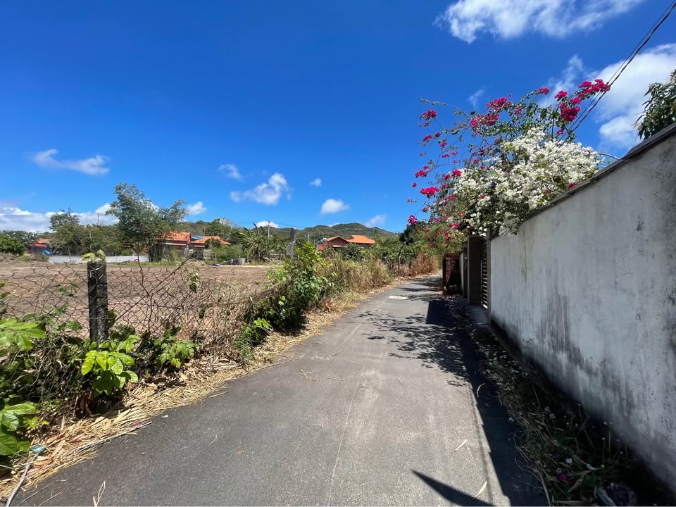 Nhà vườn Long Hải 1200m² giá 4.5 tỷ - Đón ngay dòng tiền!