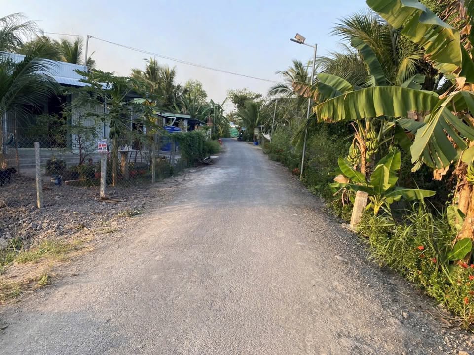 Bán Đất Thổ Cư 155m² Vĩnh Long - Gần Chợ Giáo Mẹo, Giá 295 Triệu