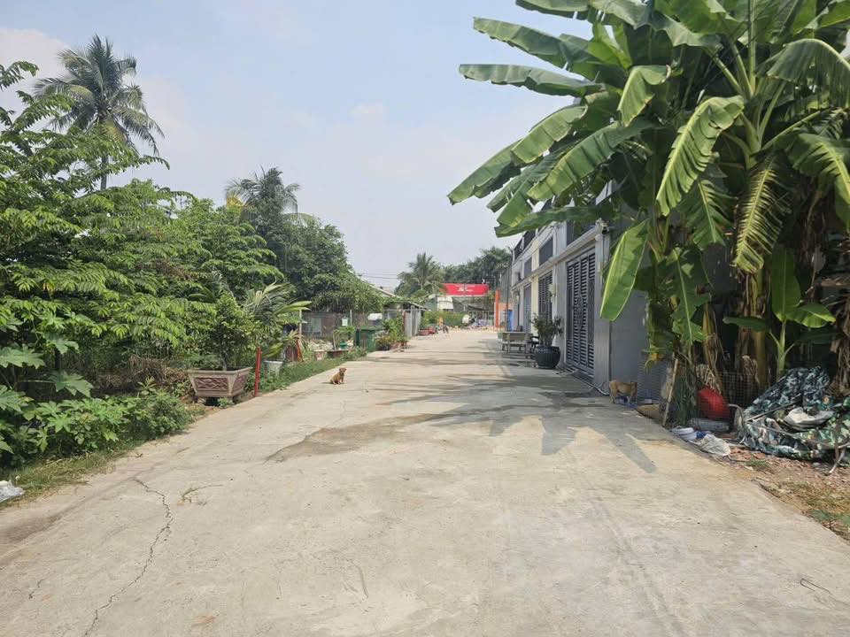 Bán Đất Nền Bình Chánh 85.6m² Giá 2.3 Tỷ - Sổ Hồng Full Thổ Cư