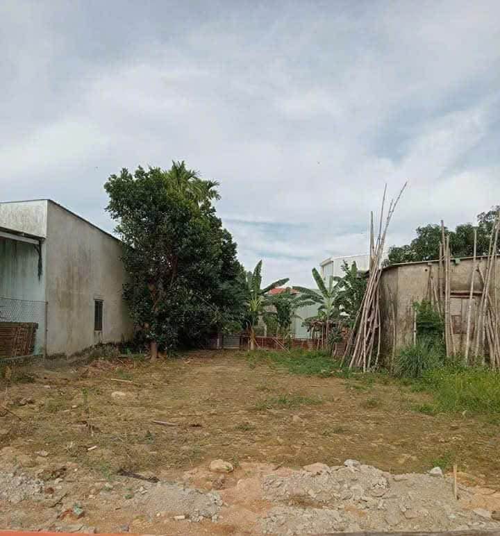 Đất nền Châu Hiệp Hòa Châu 125m² - Sổ hồng chính chủ, đường ô tô thông