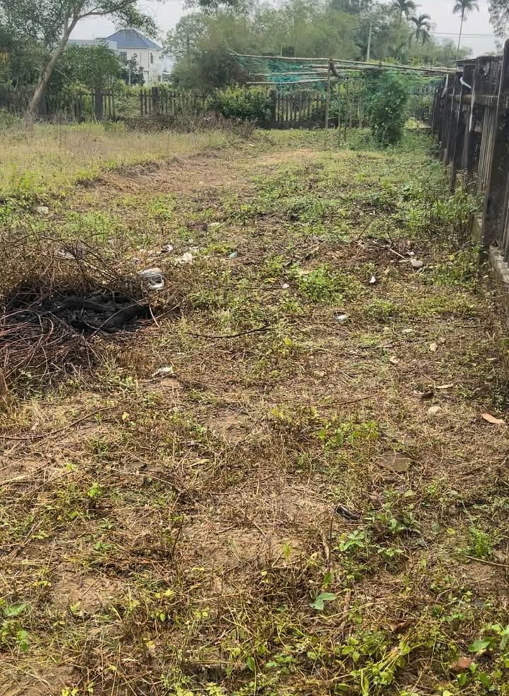 Bán Đất Điện Nam Bắc Quảng Nam 150m² - Sổ Đỏ Sẵn Sàng