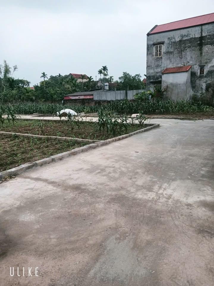 Đất nền Vĩnh Thượng, Phú Xuyên 87.7m² - Giá F0 chỉ 1.9 tỷ