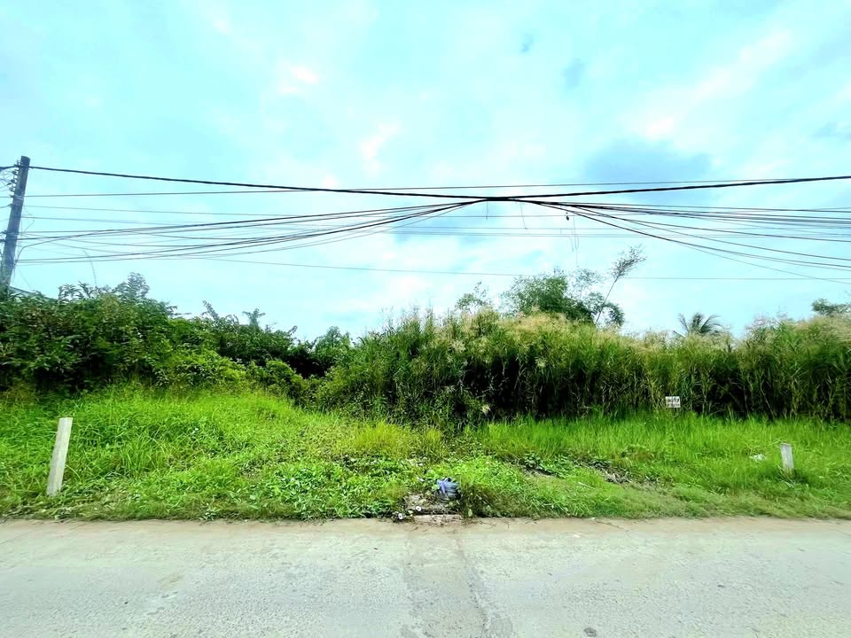 Đất nền Khóm 20 P1 Bạc Liêu 95m² 550 triệu - Sổ đỏ chính chủ