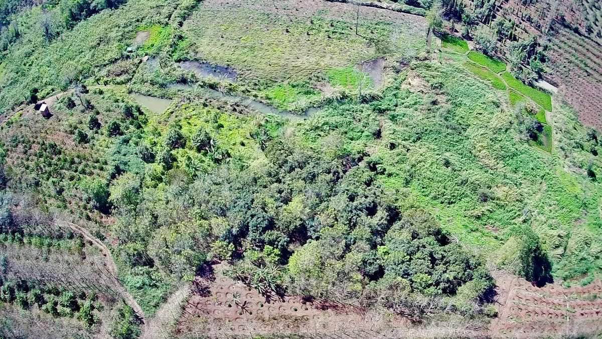 Đất vườn Ea D'Rơng 7000m² - Sinh thái xanh, nghỉ dưỡng lý tưởng!