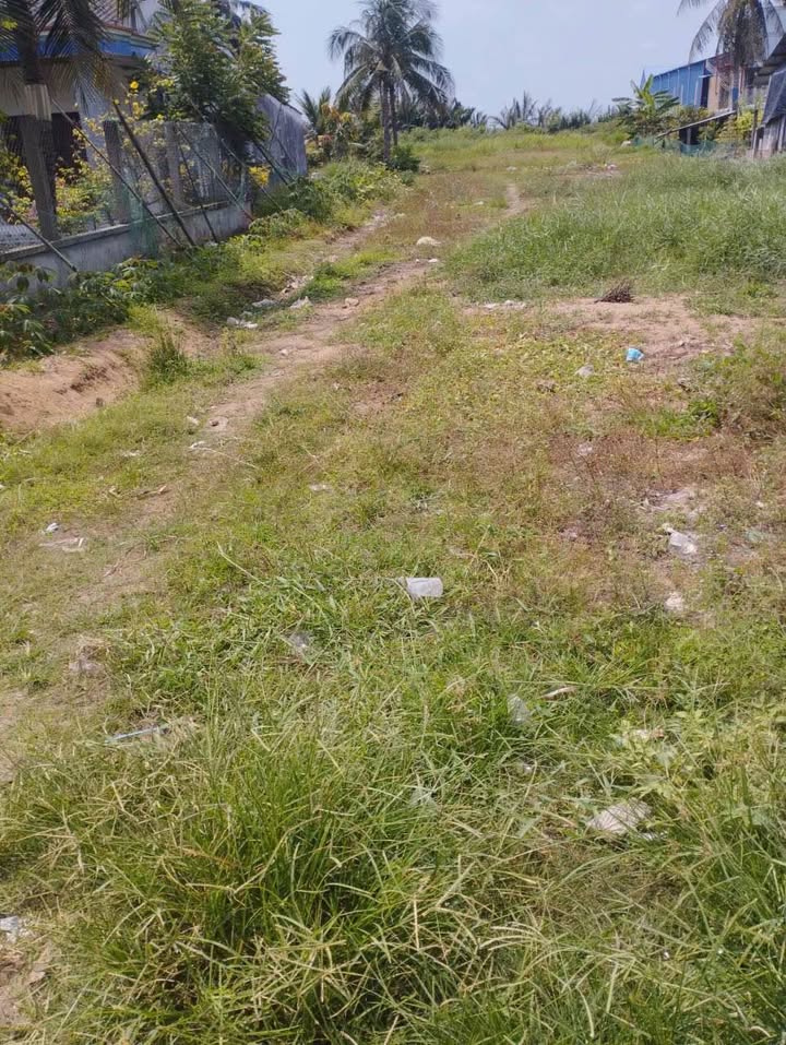 Đất nền Mỏ Cày Nam 4800m² giá 12 tỷ - Đầu tư sinh lời vượt trội!