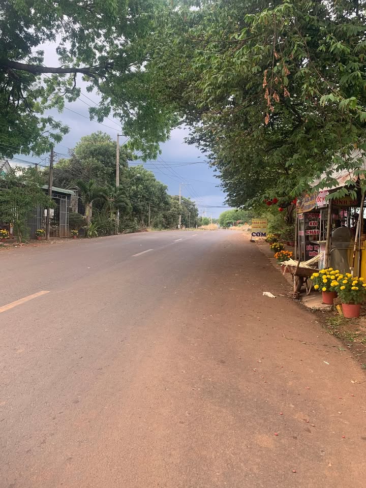 Mặt Tiền Kinh Doanh DH Đồng Tiến Trảng Bom 687m² Giá 1.1 Tỷ - Sẵn Sàng Mở Cửa