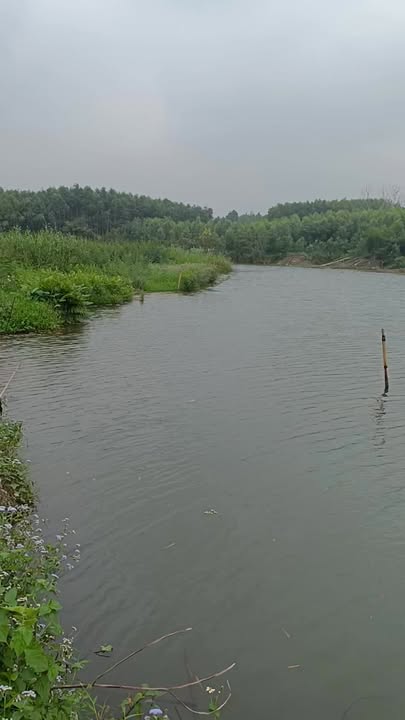 Bán Đất Vườn View Sông 3000m² Xã Tân Hiệp, Yên Thế, Bắc Giang - Pháp Lý Rõ Ràng